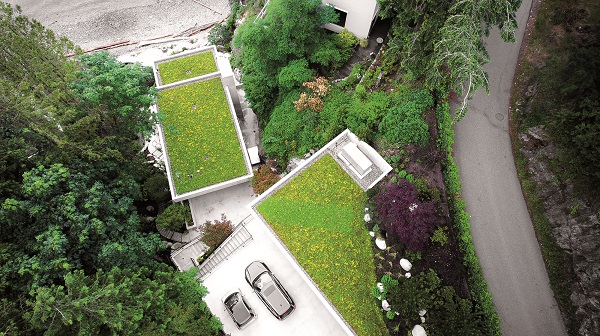 Zelené střechy osvěžují města
