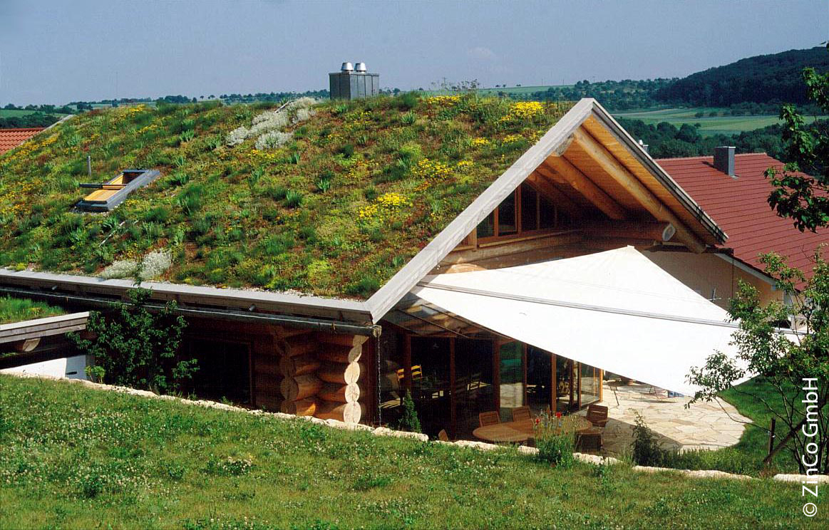 Zelená střecha - možnosti pokrytí střechy