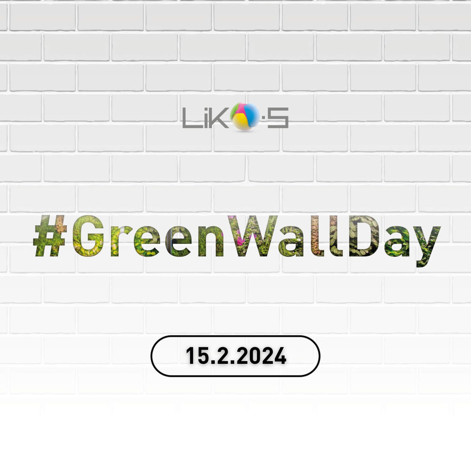 Mezinárodní den zelených stěn - 15. února 2024
